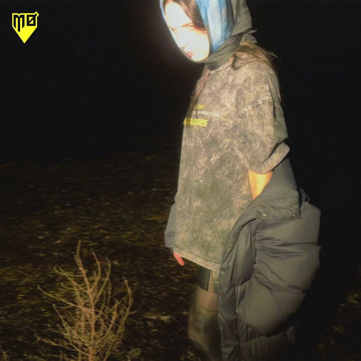 Album cover of Wake Me Up