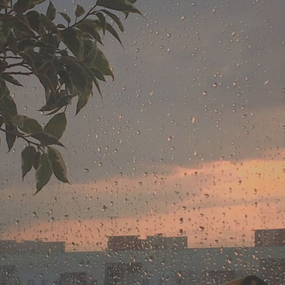 Picture of N. Rain