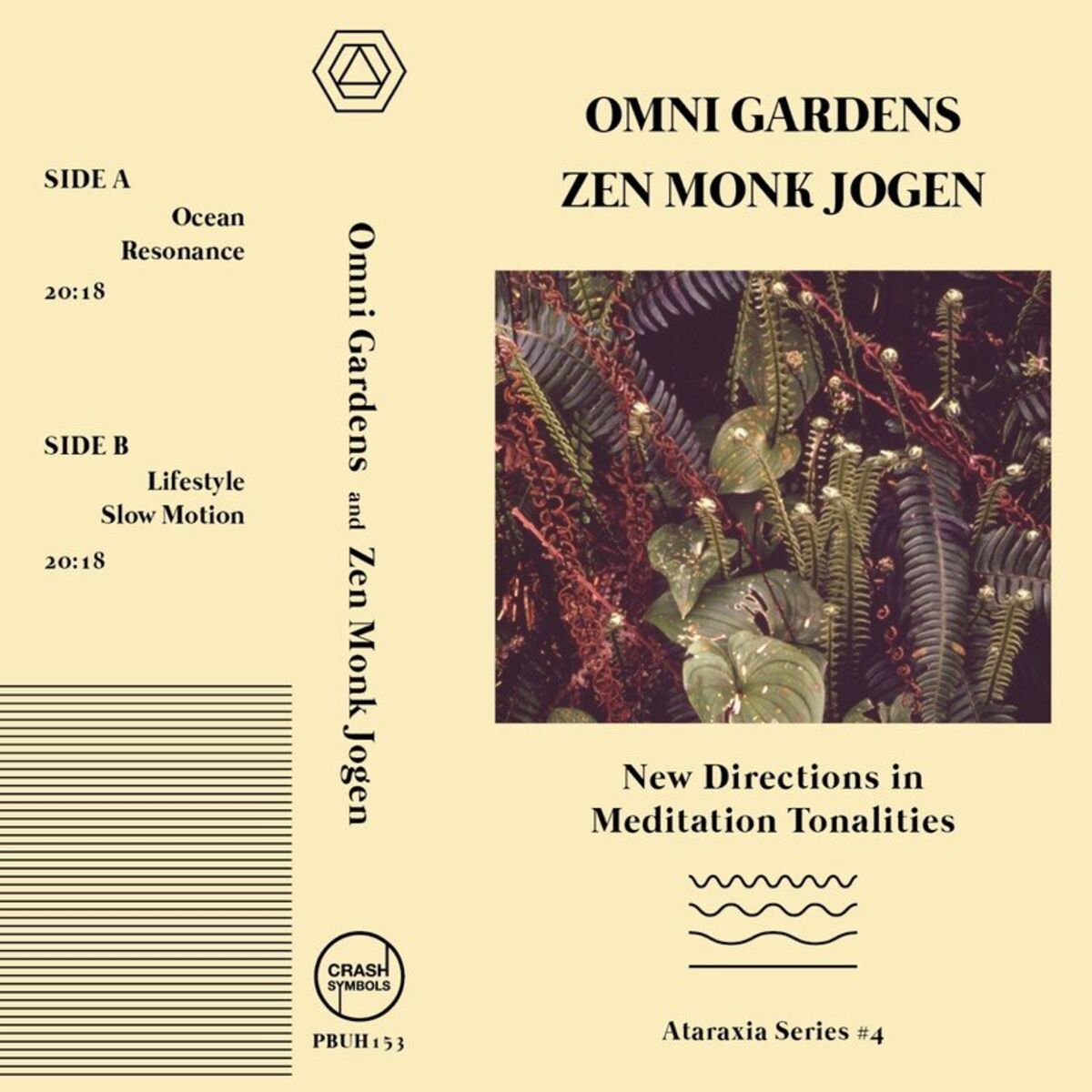 Album cover of New Directions in Meditation Tonalities
