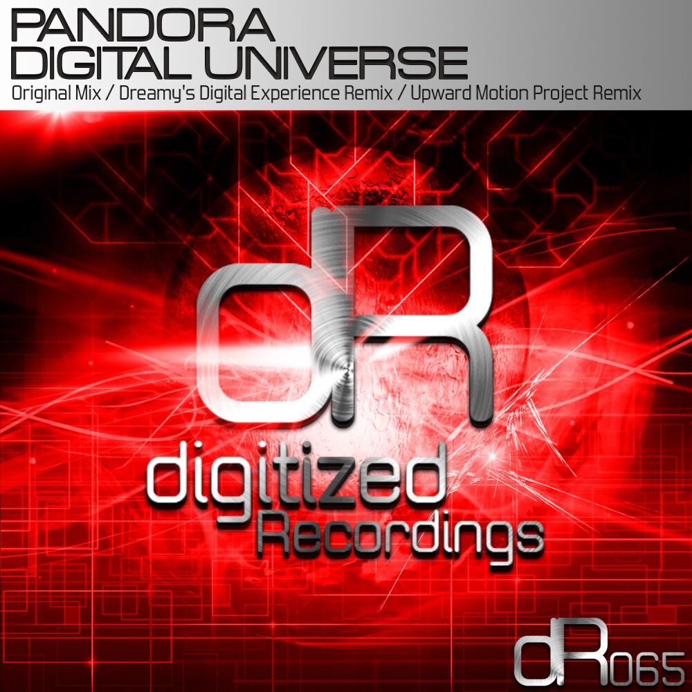 Picture of Digital Universe