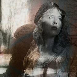 Cover of Wonder