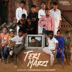 Cover of Teri Marzi