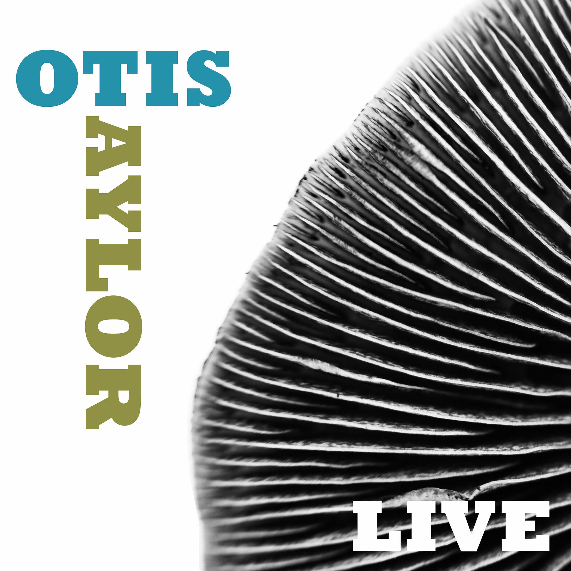 Album cover of Otis Taylor Live