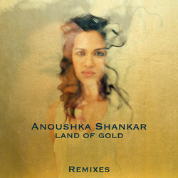 Cover of Land Of Gold (Remixes)