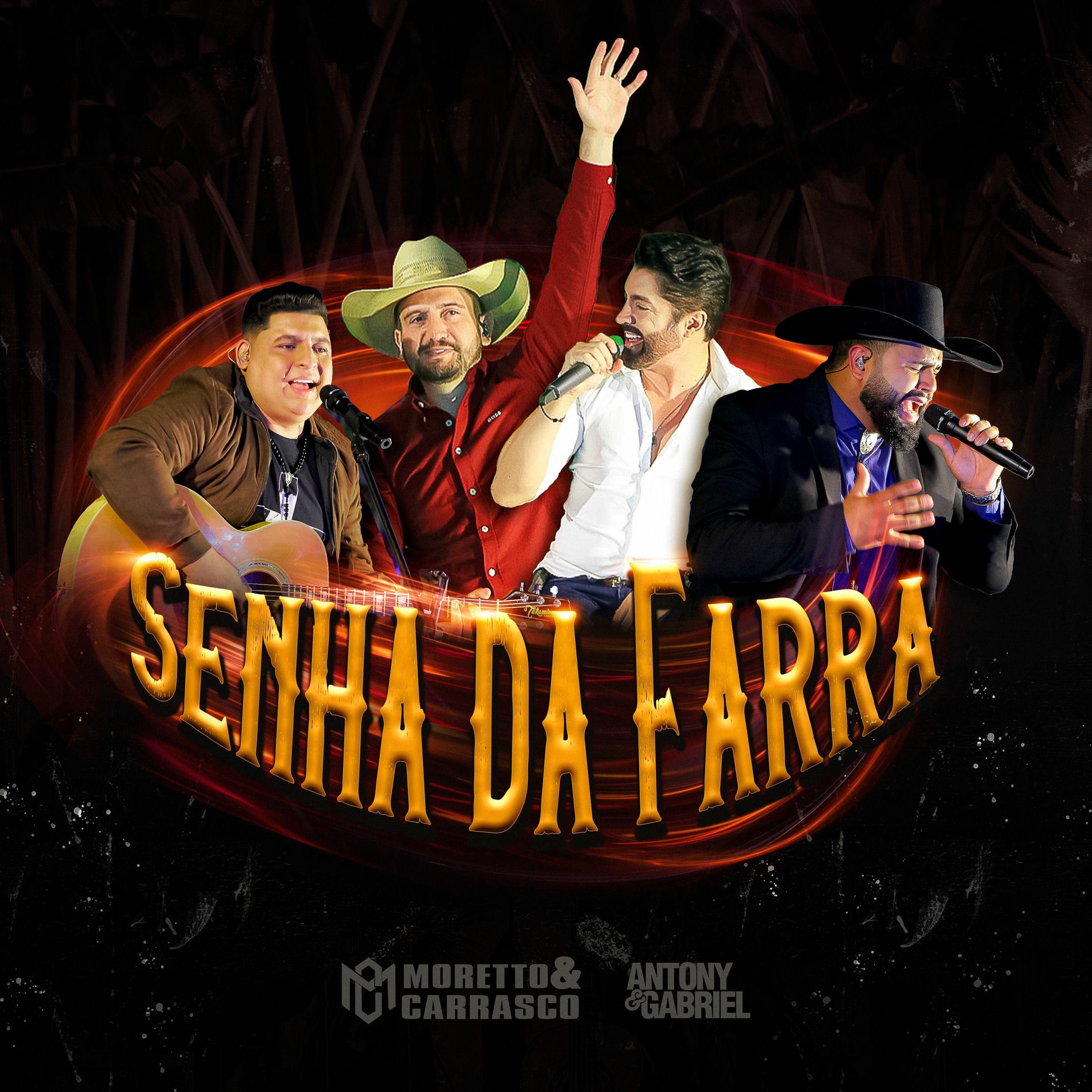 Album cover of Senha da Farra (Live)