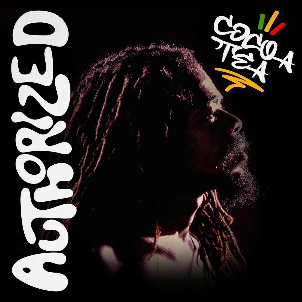 Album cover of Authorized (Remastered Edition)