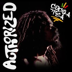 Cover of Authorized (Remastered Edition)
