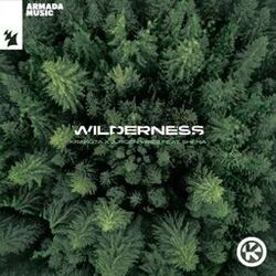 music cover