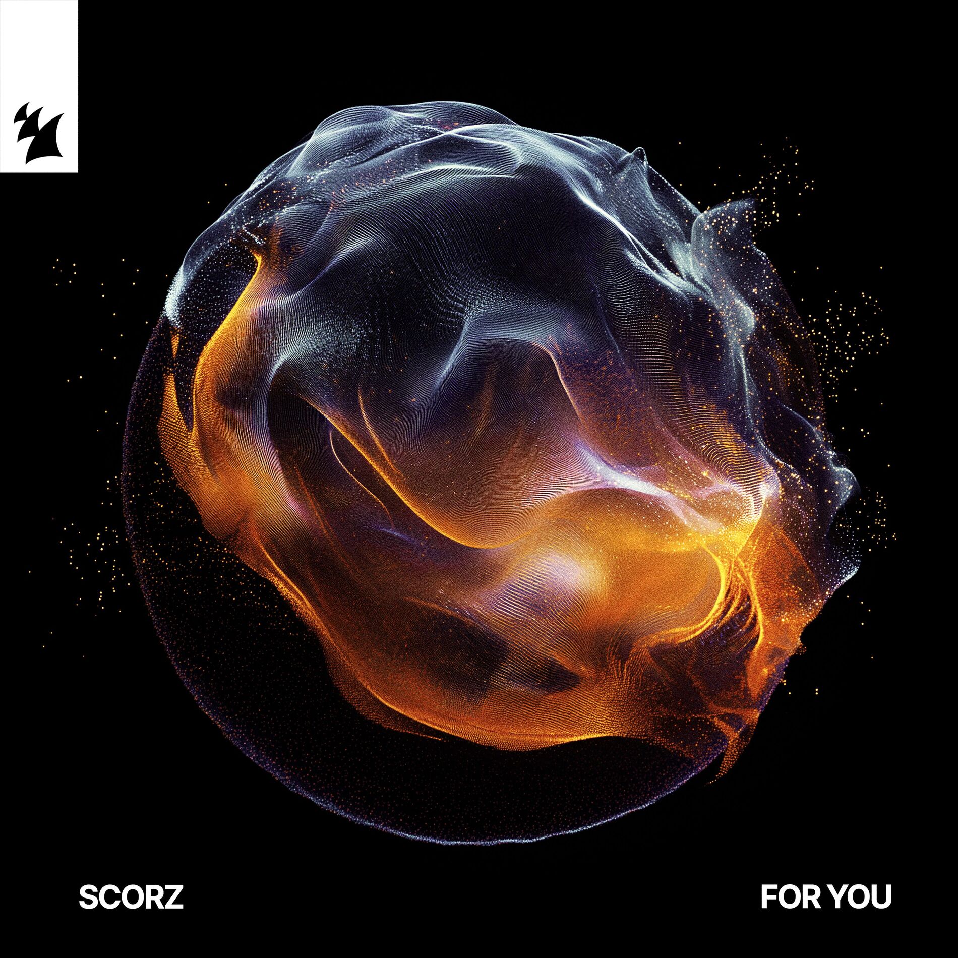 Album cover of For You