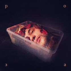 Cover of Роза