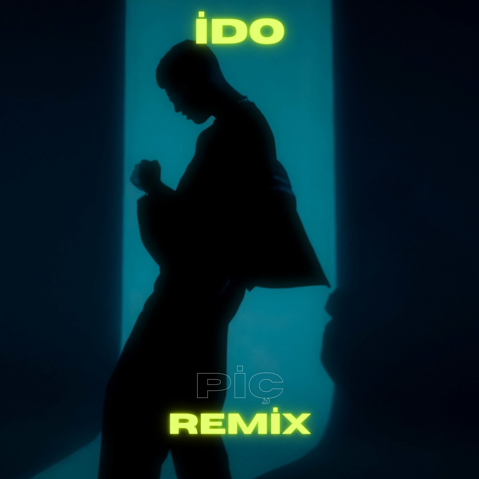 Album cover of Piç (İdo Tatlıses Remix)