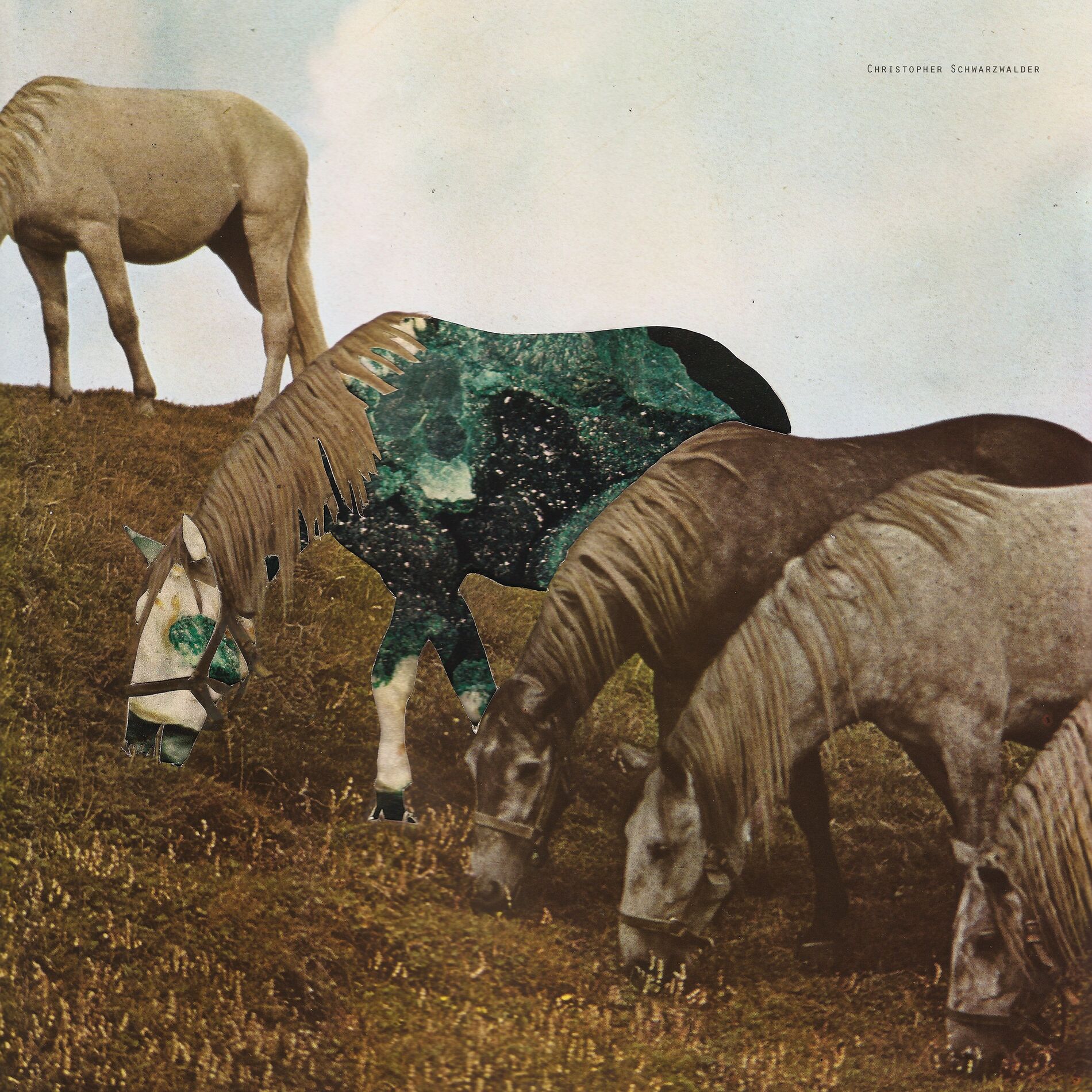 Album cover of Akumal