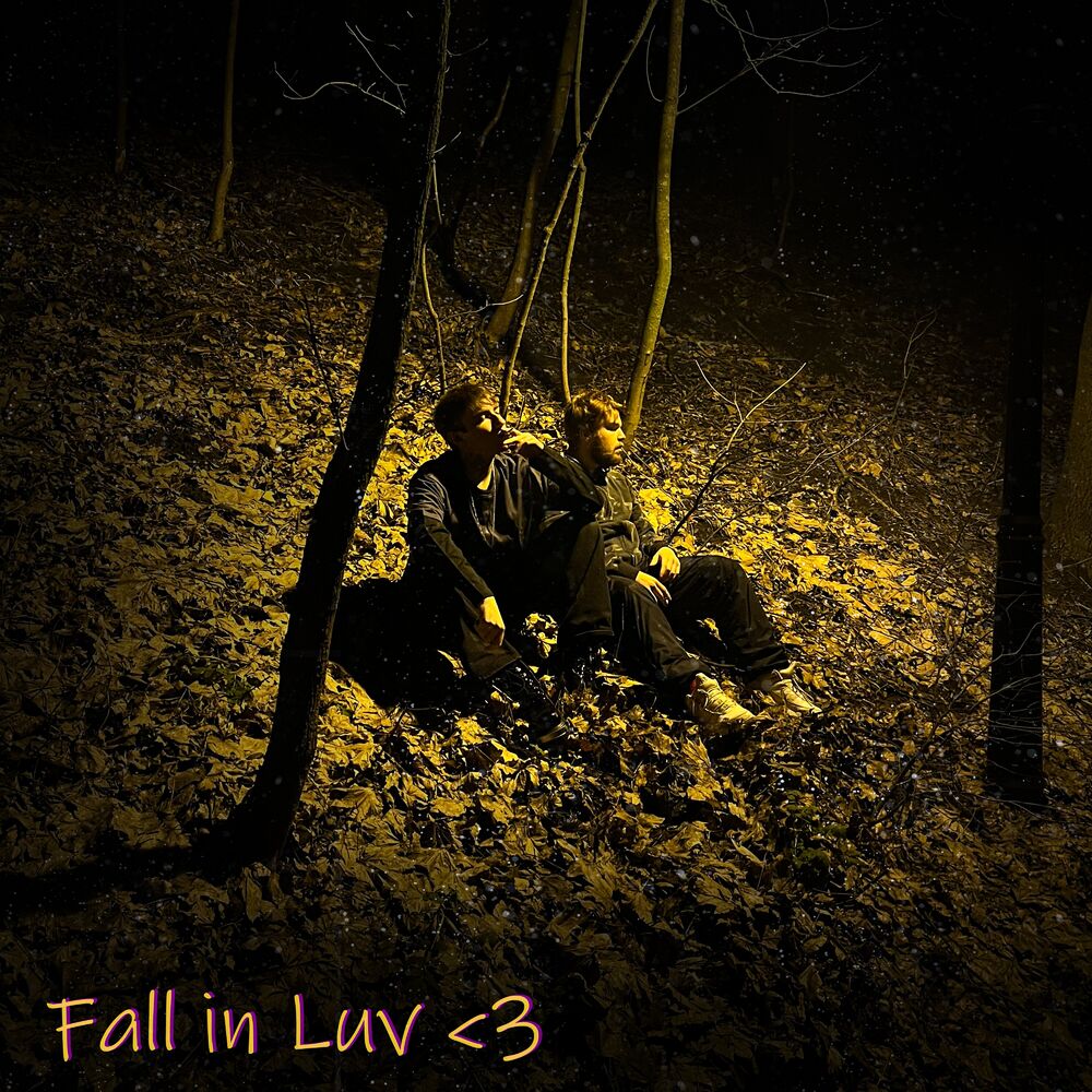Picture of Fall in Luv