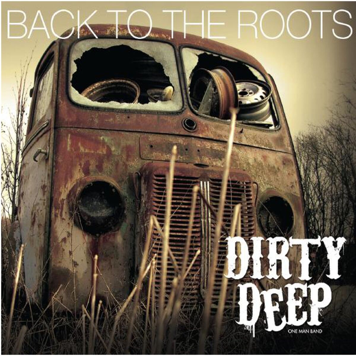 Album cover of Back to the Roots
