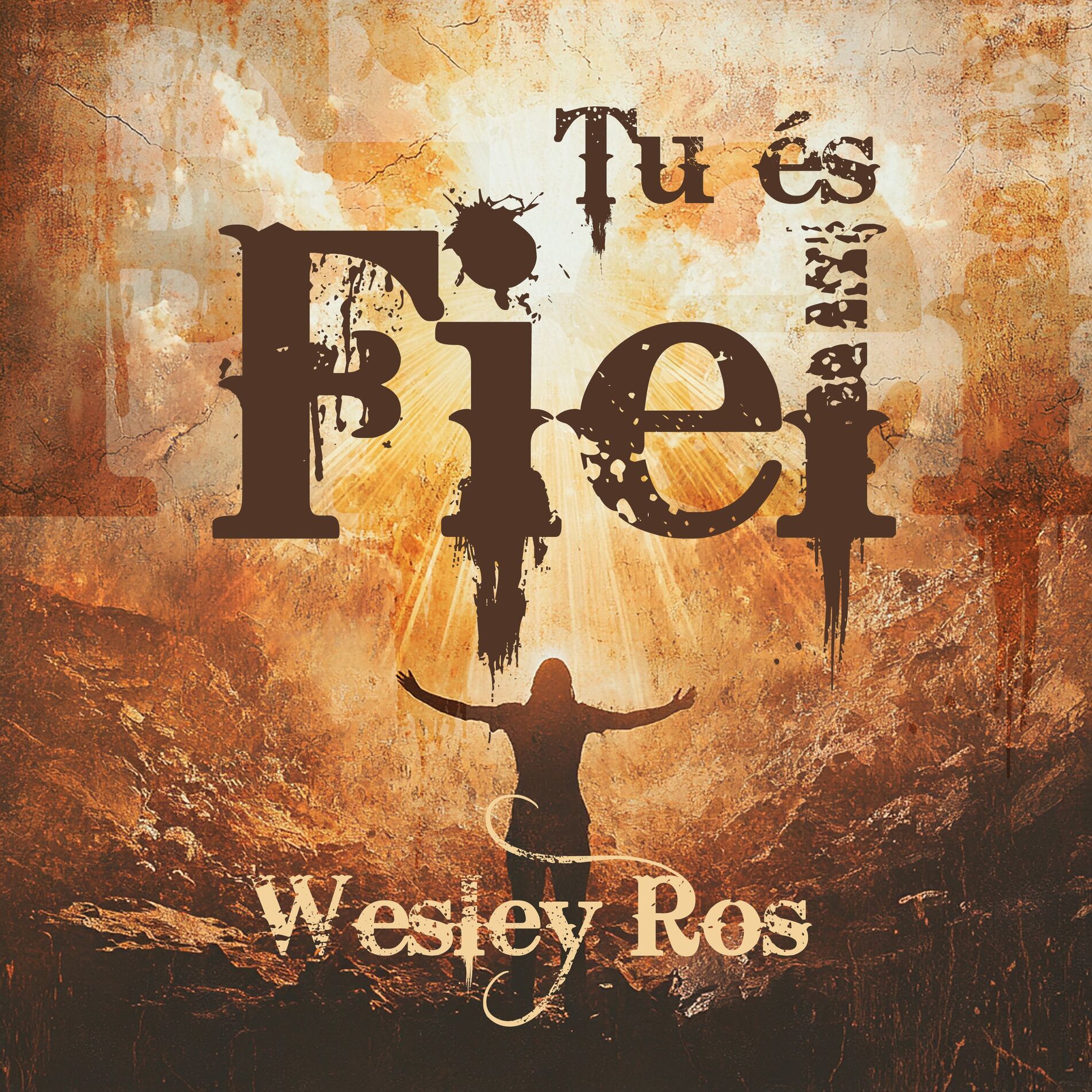 Album cover of Tu és Fiel