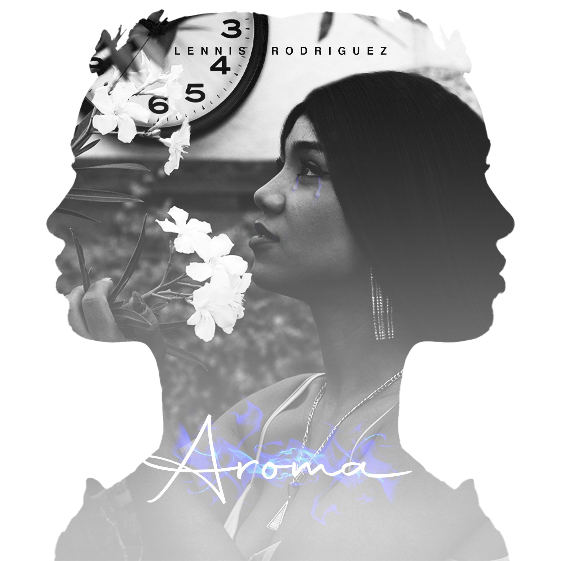 Album cover of Aroma (HMMM)