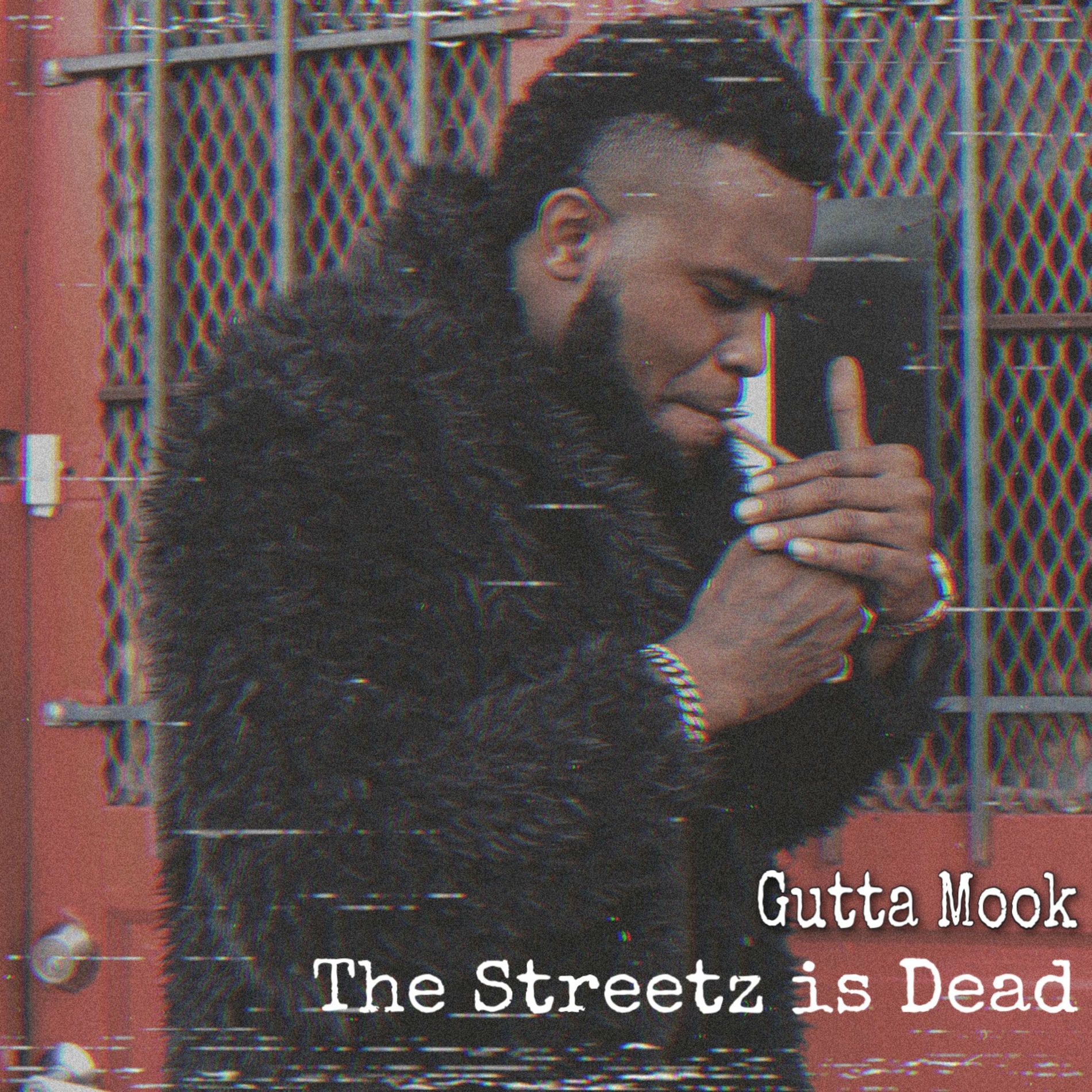 Album cover of The Streetz Is Dead