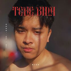 Cover of Tere Bina