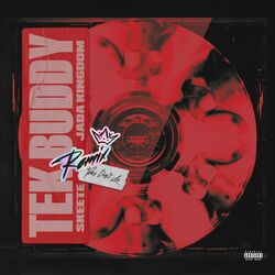 Cover of Tek Buddy (Remix)