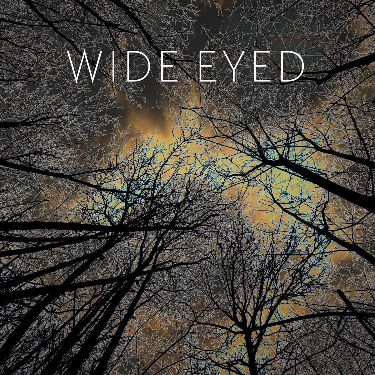 Album cover of Beyond the Horizon