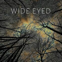 Cover of Beyond the Horizon