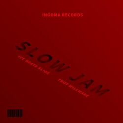 Cover of Slow Jam