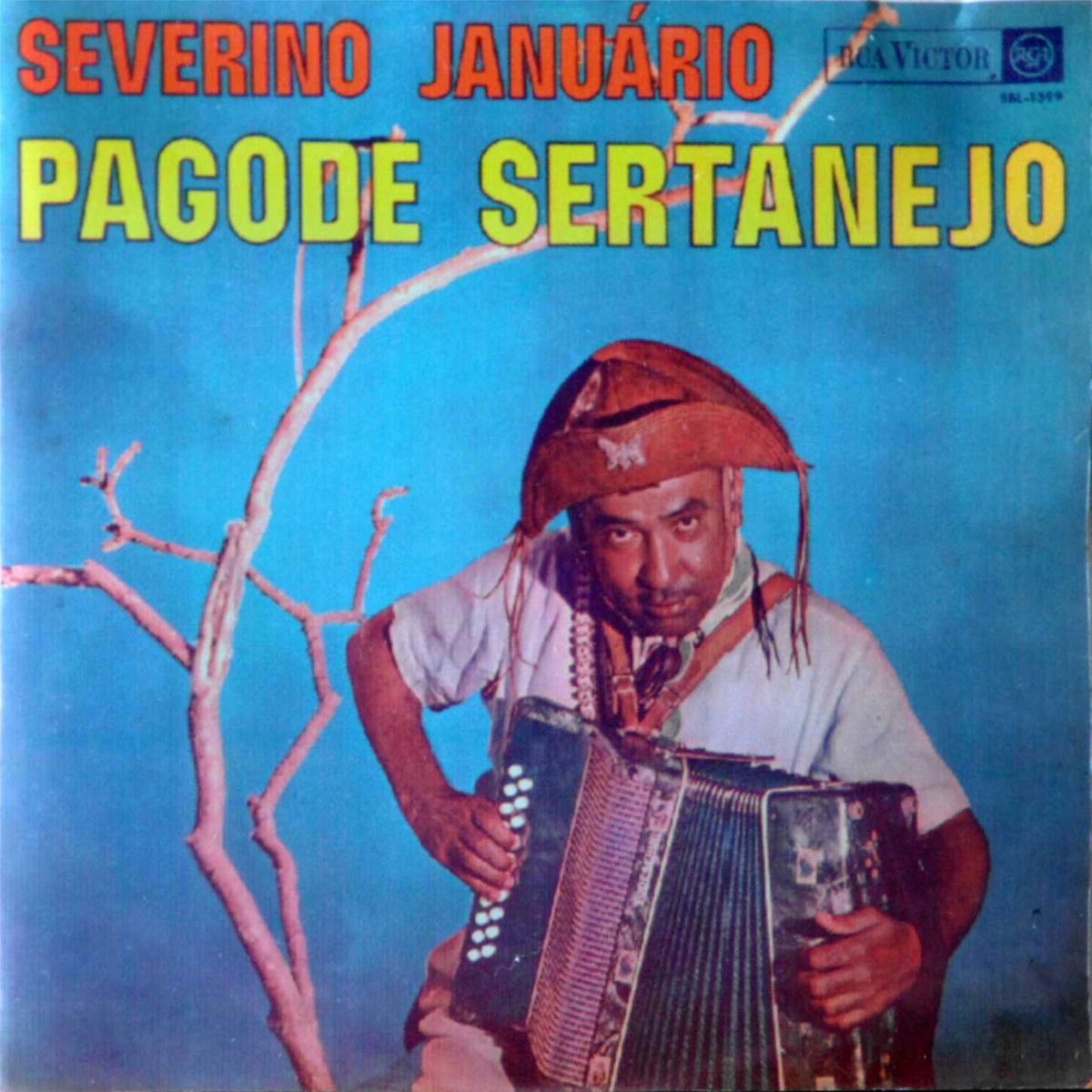 Album cover of Pagode Sertanejo