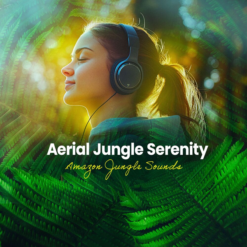 Picture of Aerial Jungle Serenity