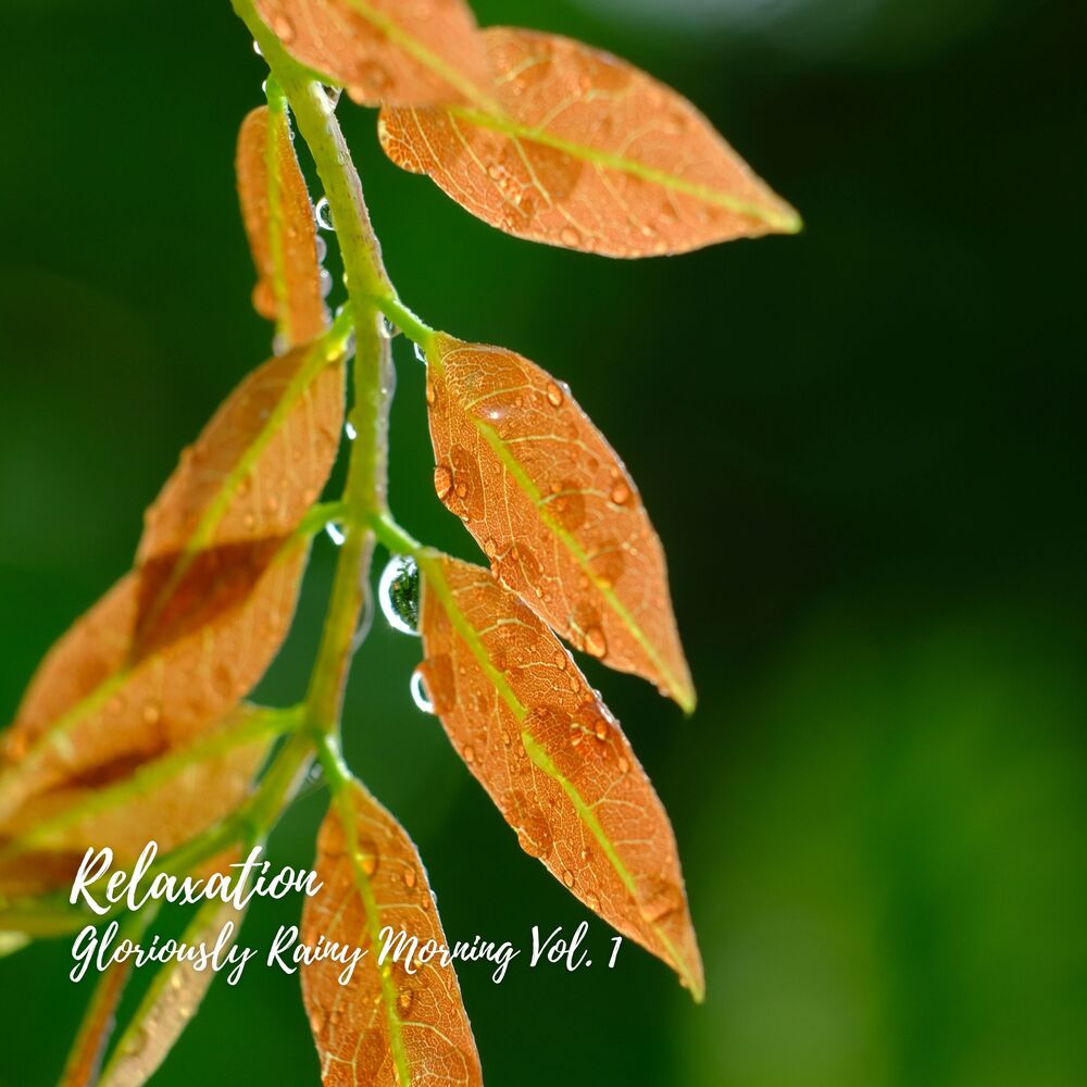 Picture of Relaxation: Gloriously Rainy Morning Vol. 1