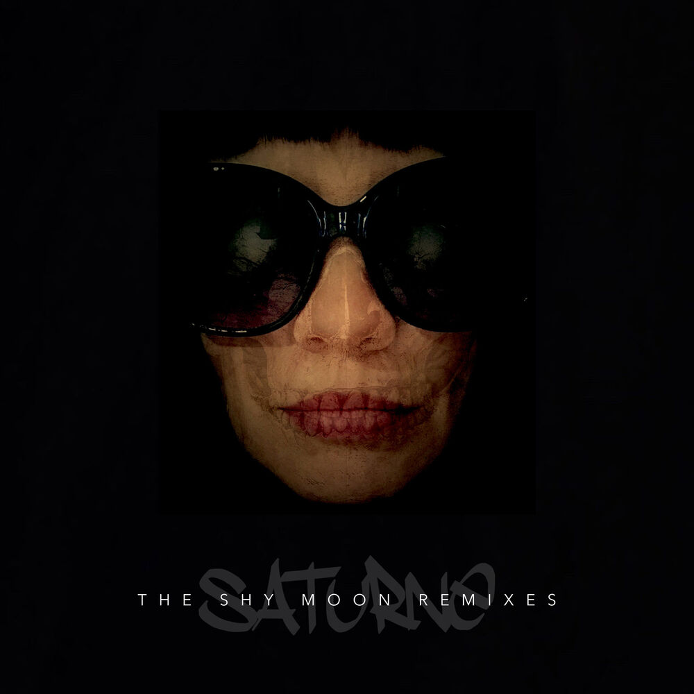 Picture of The Shy Moon Remixes