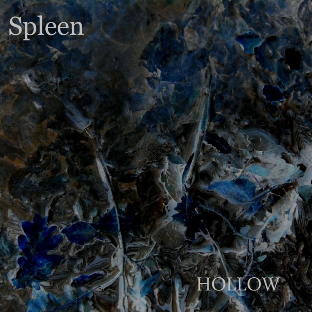 Picture of Hollow