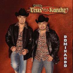 Cover of Dominando