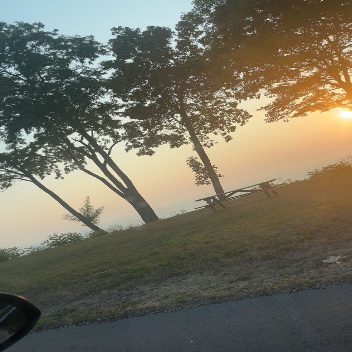 Album cover of Release Havoc