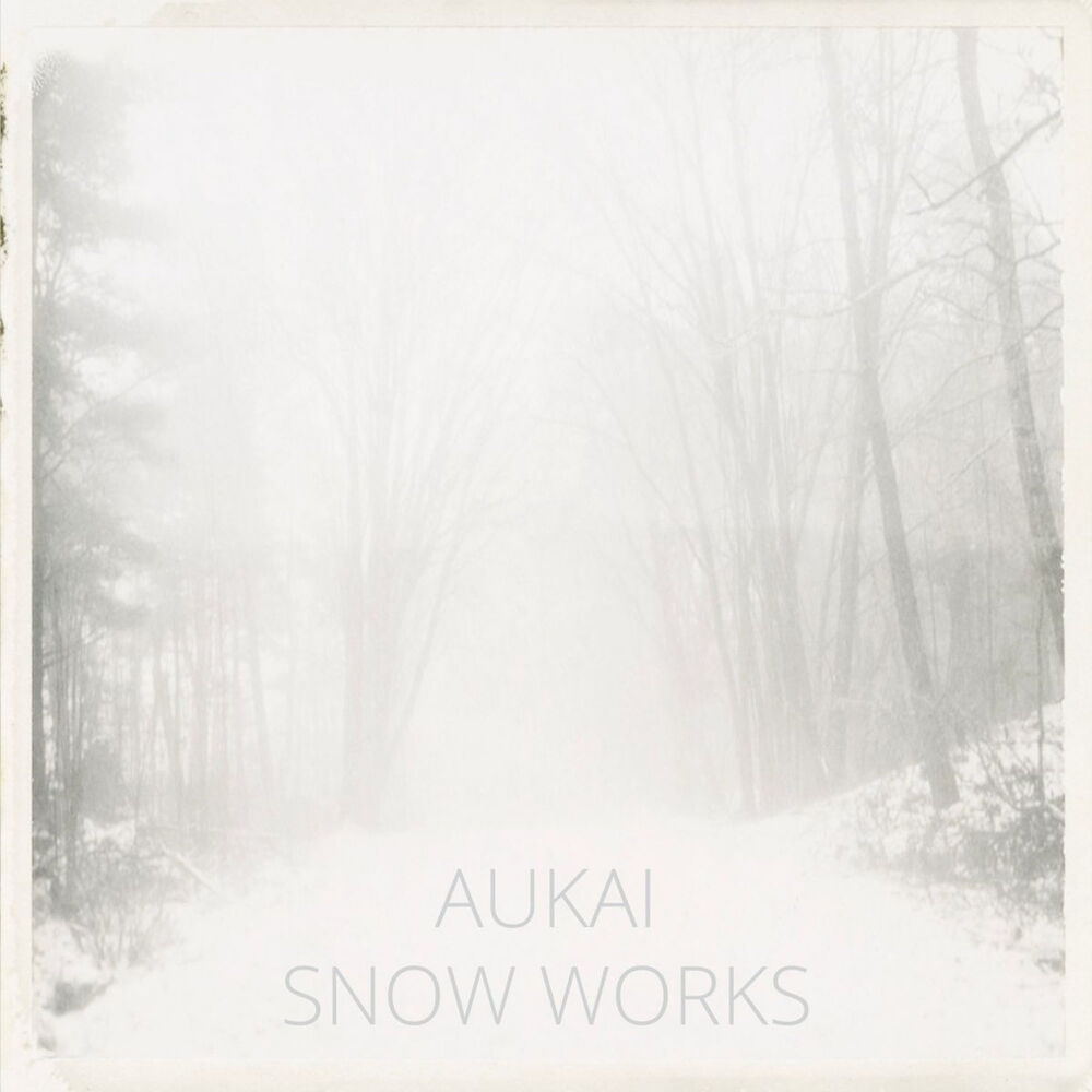 Picture of Snow Works