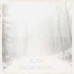 Cover of Snow Works
