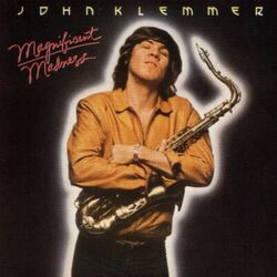 Cover of Magnificent Madness
