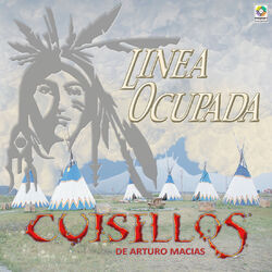 Cover of Linea Ocupada