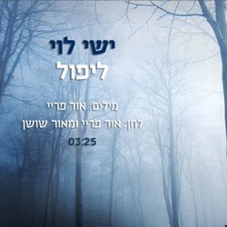 Cover of ליפול