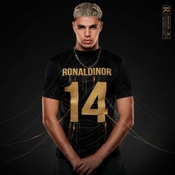 Cover of Ronaldinor
