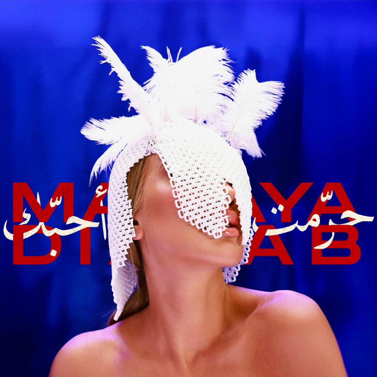 Album cover of Haramt Ahebak