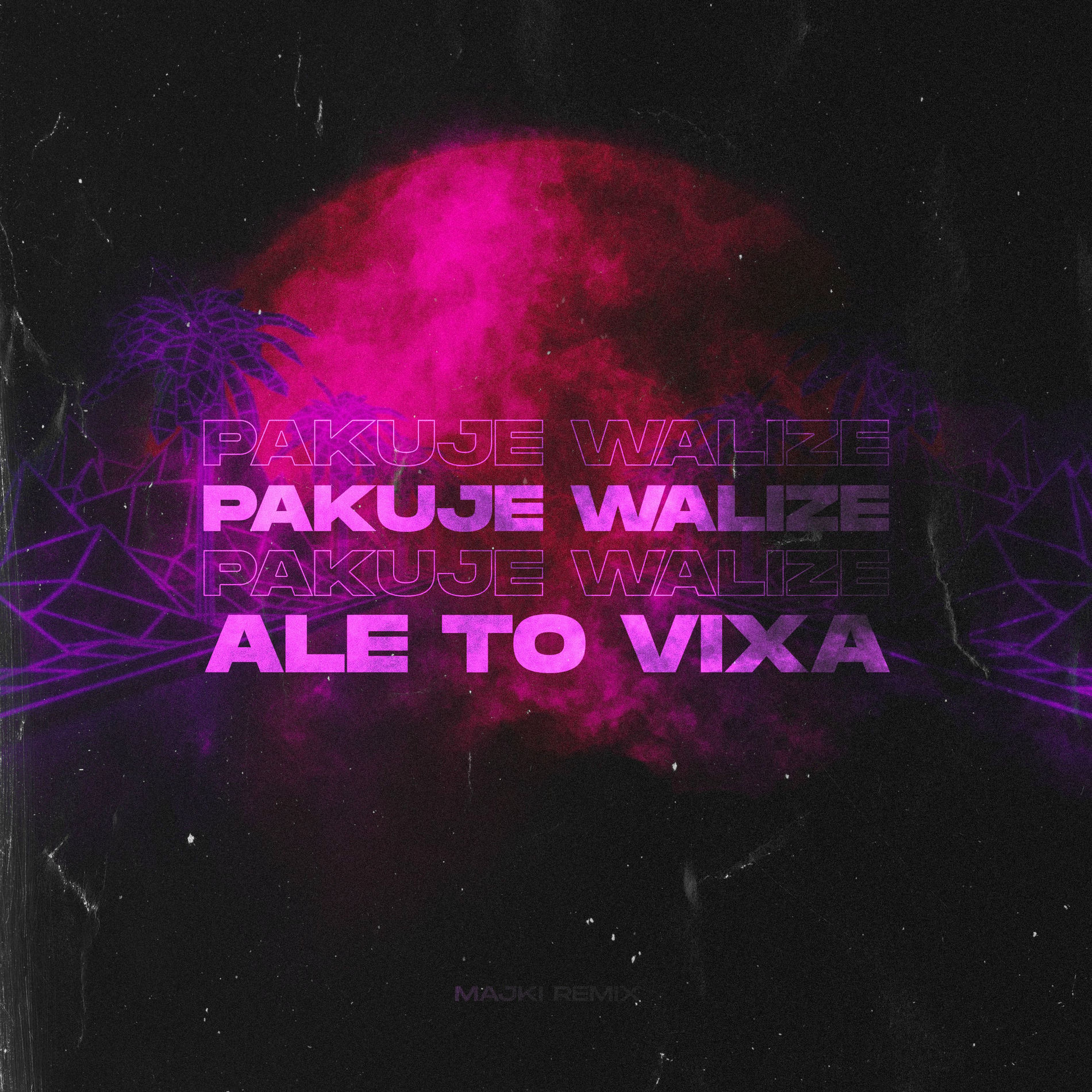 Album cover of Pakuje Walize ale to VIXA