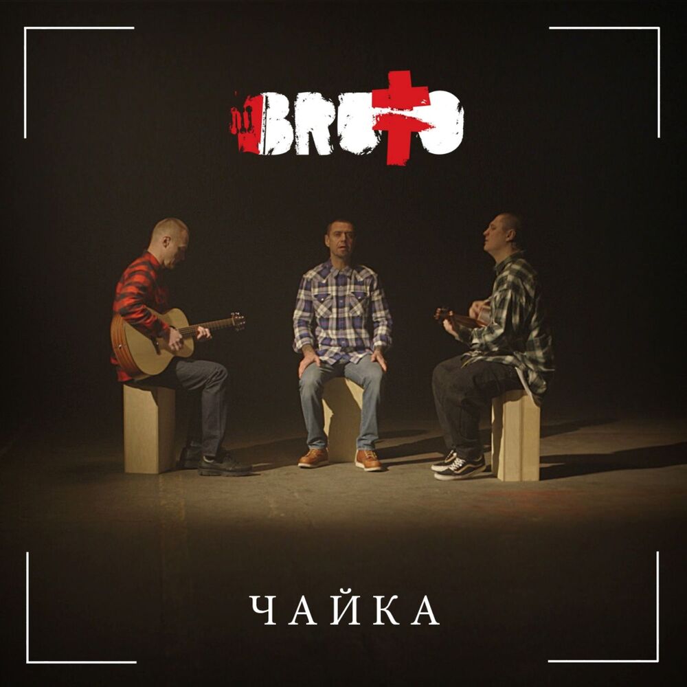Picture of Чайка