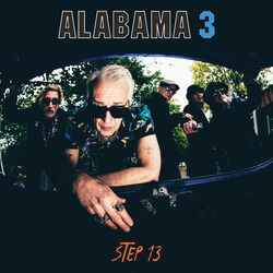 Cover of Step 13