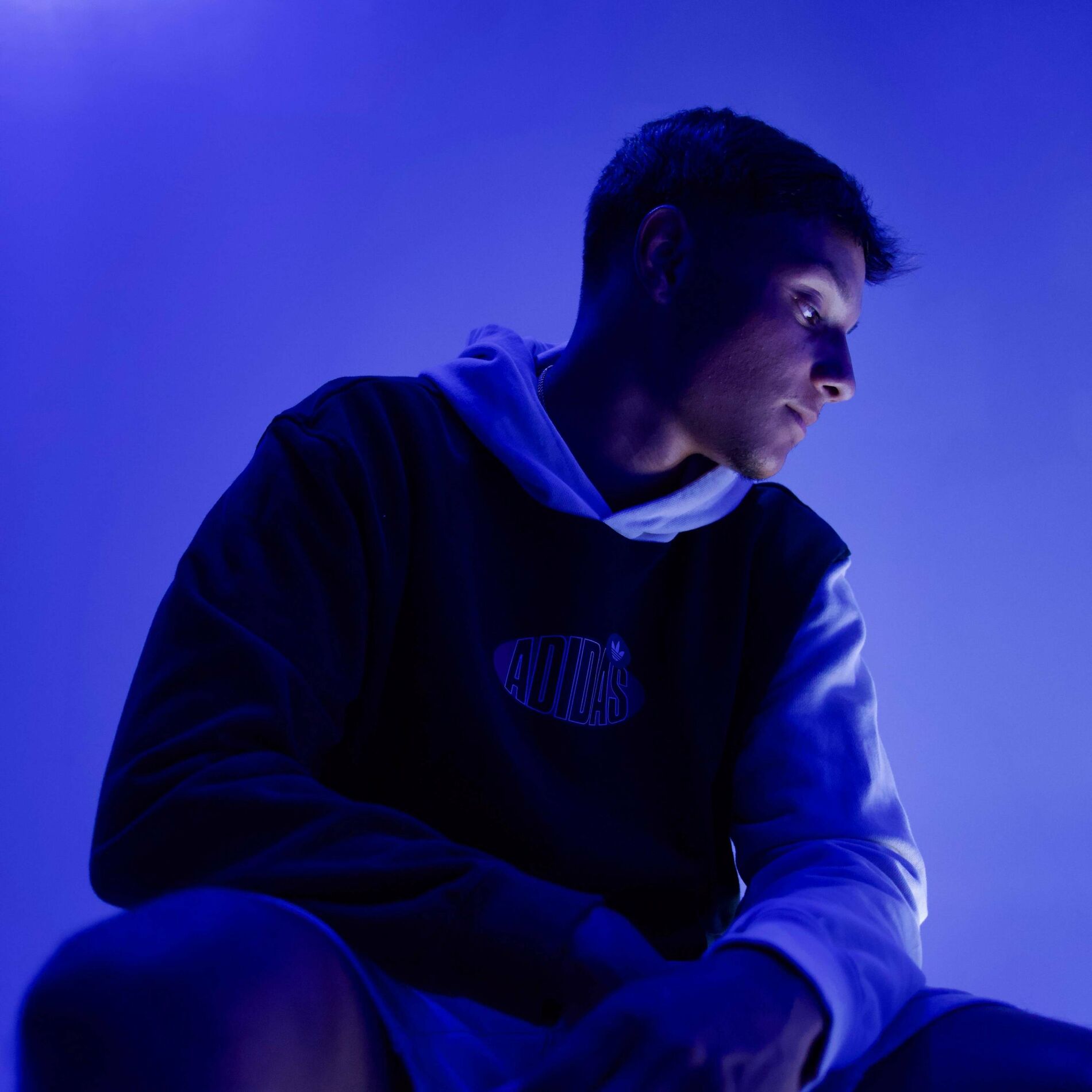 Album cover of In the Dark