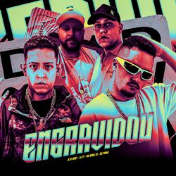 Cover of Engravidou