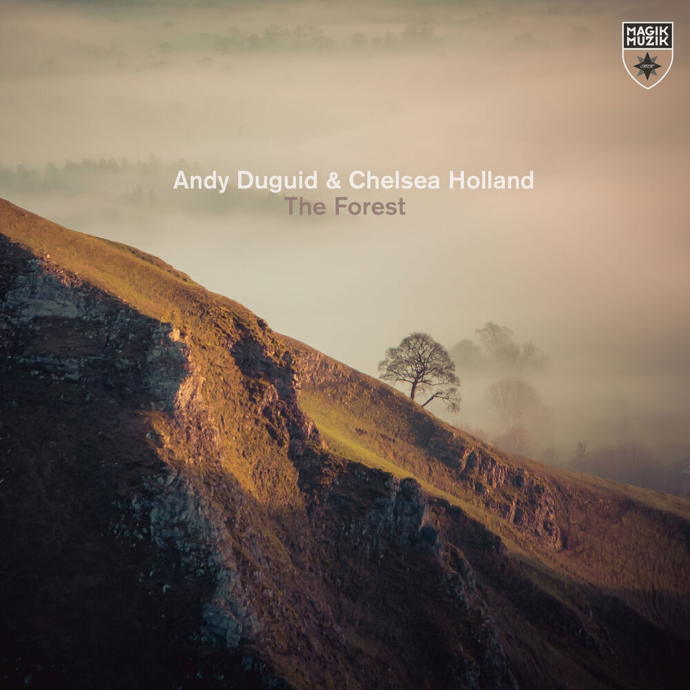 Picture of The Forest