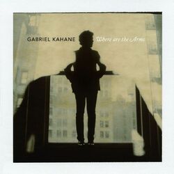 Cover of Where Are the Arms