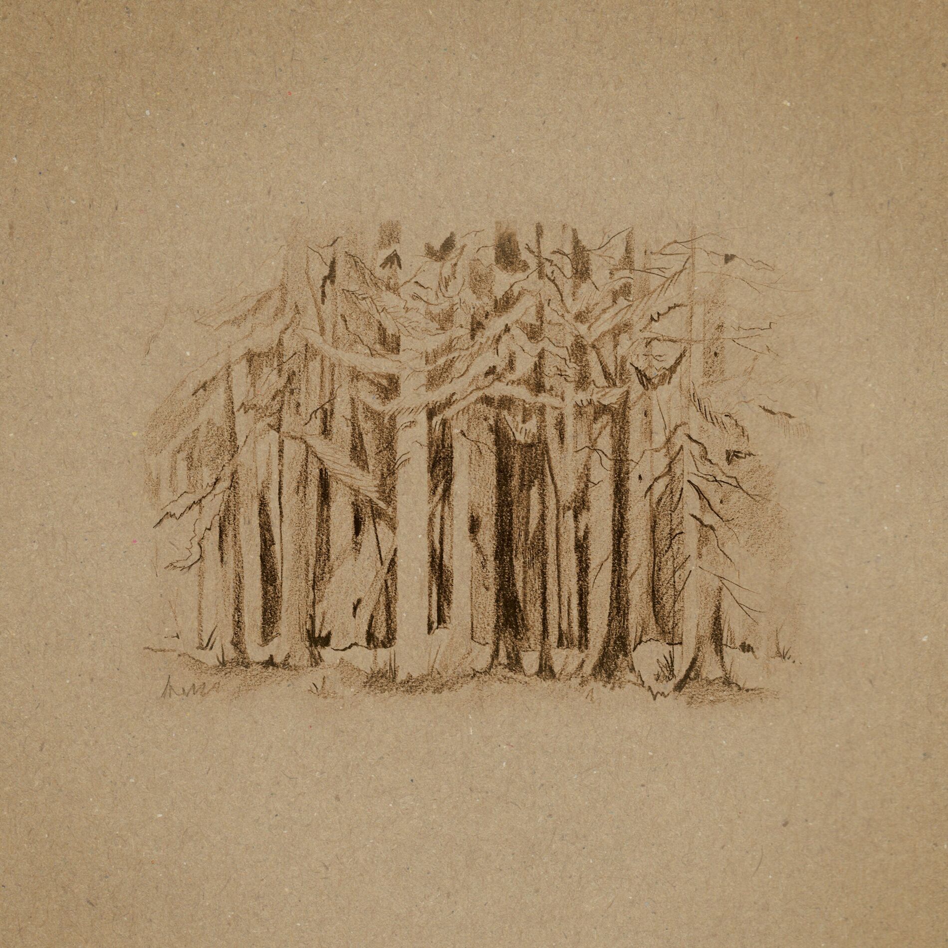 Album cover of The Anchorite
