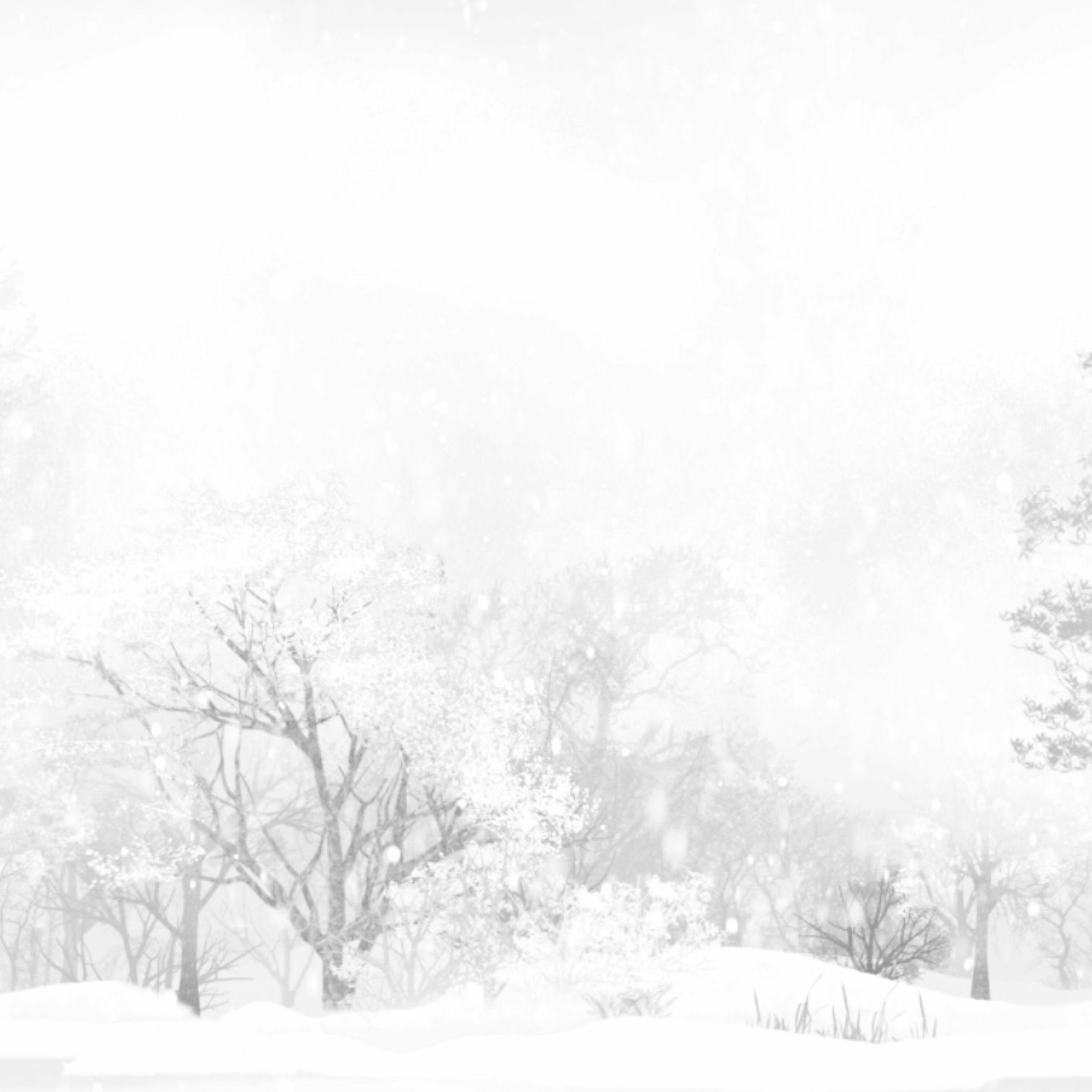 Album cover of 南国没有雪