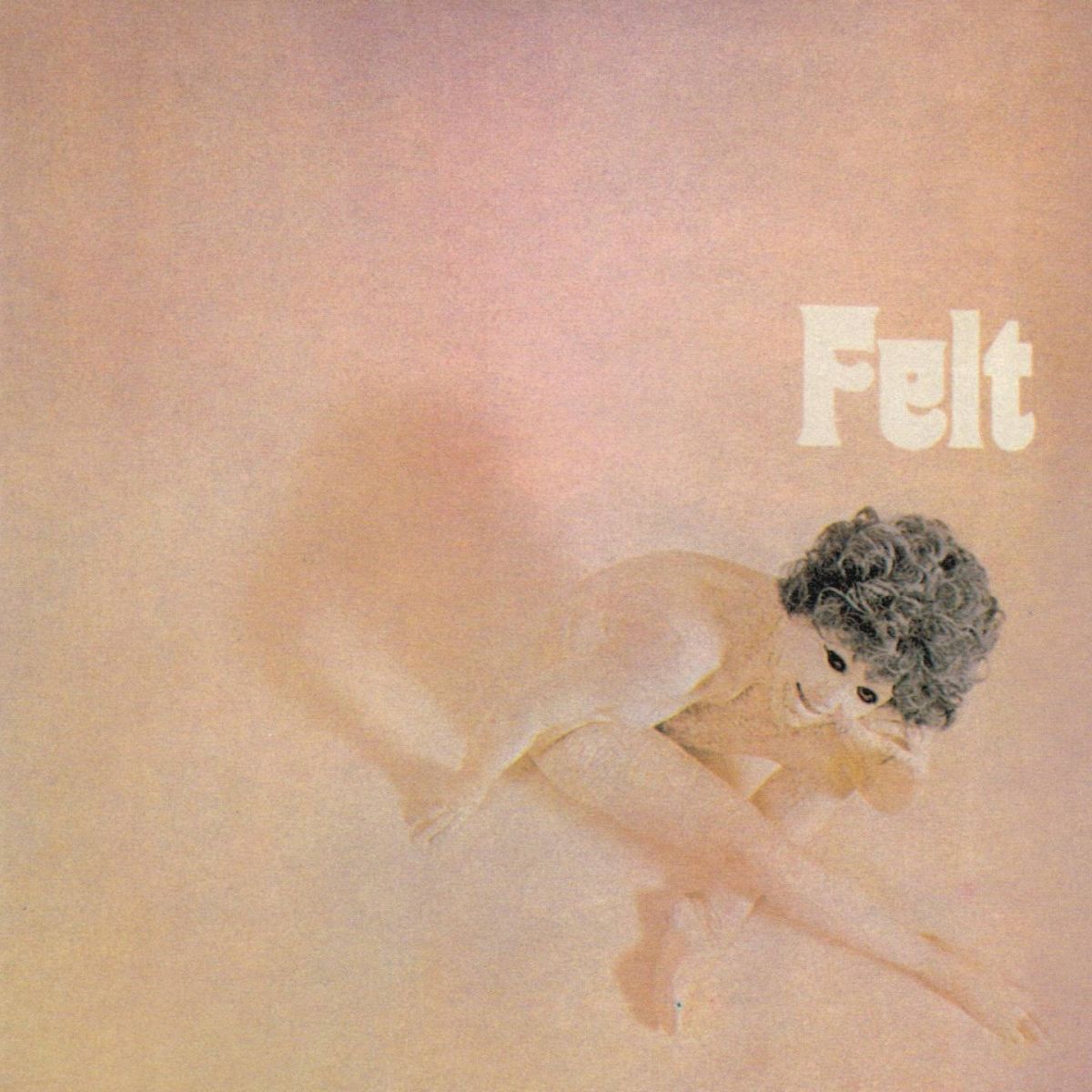 Album cover of Felt
